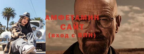 ПСИЛОЦИБИНОВЫЕ ГРИБЫ Горно-Алтайск