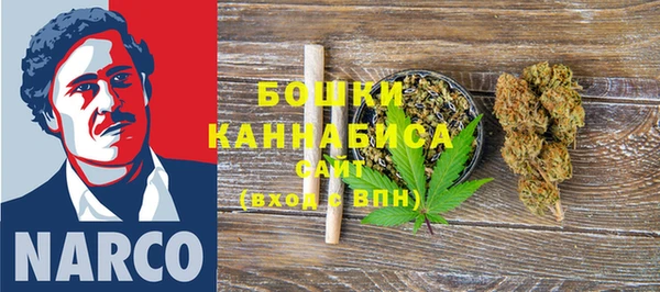 ПСИЛОЦИБИНОВЫЕ ГРИБЫ Горно-Алтайск