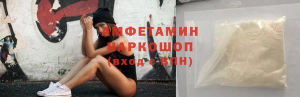 ПСИЛОЦИБИНОВЫЕ ГРИБЫ Горно-Алтайск