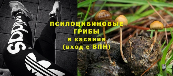 ПСИЛОЦИБИНОВЫЕ ГРИБЫ Горно-Алтайск