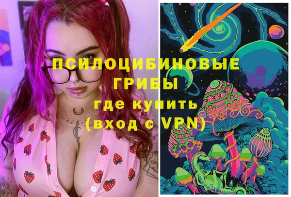 Альфа ПВП Горняк