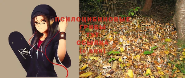 стаф Вяземский