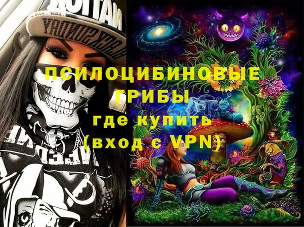 стаф Вяземский