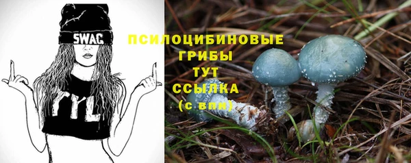 стаф Вяземский