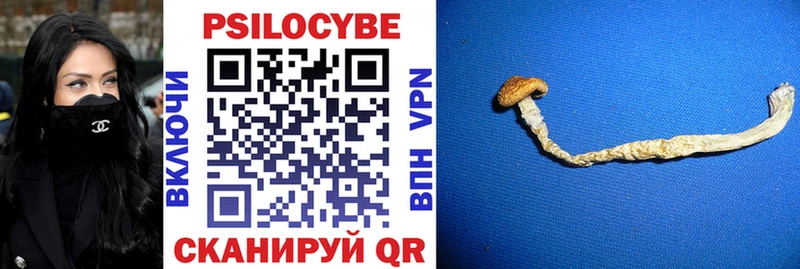 Галлюциногенные грибы ЛСД  Западная Двина 