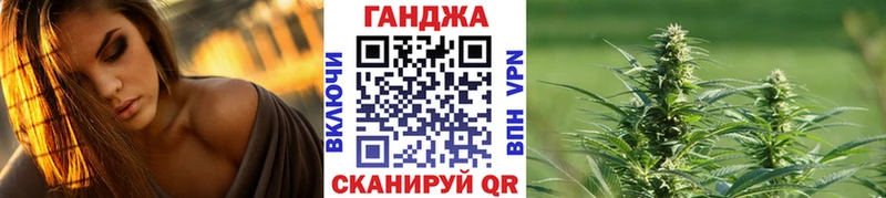 Бошки Шишки планчик  Западная Двина 